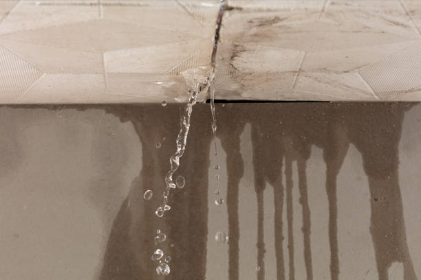 Professional Water Damage Inspection technician working in South Carver, MA